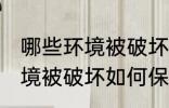 哪些环境被破坏怎样保护环境 哪些环境被破坏如何保护环境