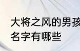 大将之风的男孩名字 大将之风的男孩名字有哪些