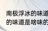 南极浮冰的味道是什么味的 南极浮冰的味道是啥味的