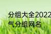 分组大全2022最新版的 高冷二字霸气分组网名