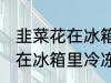 韭菜花在冰箱里冷冻能放多久 韭菜花在冰箱里冷冻可以放多长时间