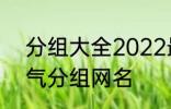 分组大全2022最新版的 高冷二字霸气分组网名