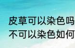 皮草可以染色吗皮草怎么改色 皮草可不可以染色如何改色