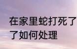 在家里蛇打死了怎么办 在家里蛇打死了如何处理