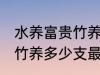 水养富贵竹养几支最旺运财 水养富贵竹养多少支最旺运财