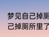 梦见自己掉厕所里了怎么回事 梦见自己掉厕所里了预兆什么