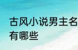 古风小说男主名字 古风小说男主名字有哪些