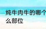 炖牛肉牛的哪个部位 炖牛肉牛选择什么部位