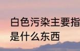 白色污染主要指的是什么 白色污染的是什么东西