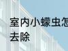 室内小蠓虫怎样去除 室内小蠓虫如何去除