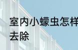 室内小蠓虫怎样去除 室内小蠓虫如何去除