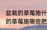 盆栽的草莓施什么肥好不要化肥 盆栽的草莓施哪些肥好不要化肥