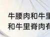 牛腰肉和牛里脊肉有什么不同 牛腰肉和牛里脊肉有何不同