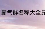 霸气群名称大全兄弟 霸气搞笑群昵称