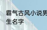 霸气古风小说男主名字 古风儒雅的男生名字