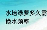 水培绿萝多久需要换一次水 水培绿萝换水频率