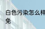 白色污染怎么样避免 白色污染如何避免