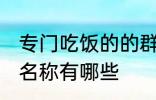 专门吃饭的的群名称 专门吃饭的的群名称有哪些