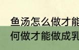 鱼汤怎么做才能做成乳白色的 鱼汤如何做才能做成乳白色的