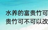 水养的富贵竹可以改土养吗 水养的富贵竹可不可以改土养