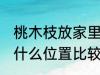 桃木枝放家里什么位置 桃木枝放家里什么位置比较好