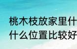 桃木枝放家里什么位置 桃木枝放家里什么位置比较好